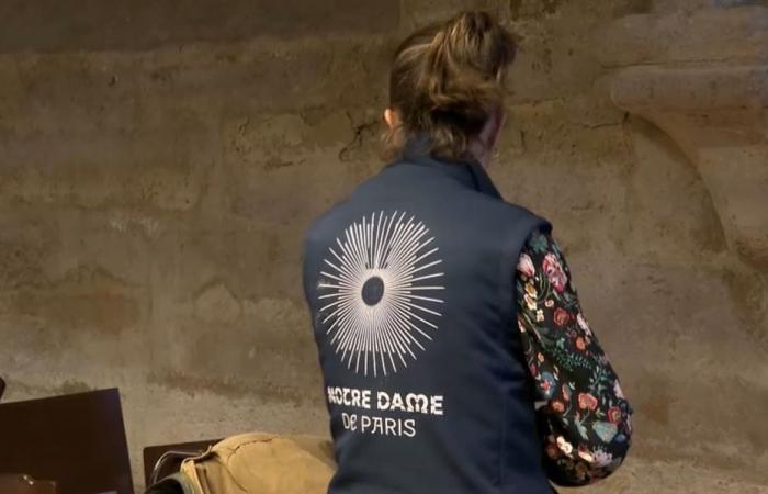 volunteers trained to welcome visitors for the reopening of the cathedral