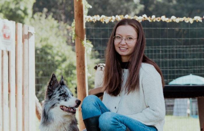 Swore. She is organizing a “special doggie Christmas”, here’s what it involves