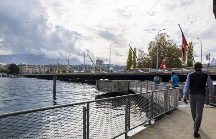 City of Geneva: towards a no to the Mont-Blanc pedestrian bridge