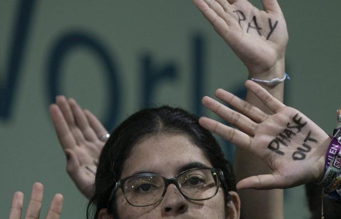 COP 29: 300 billion to support climate change, a controversial agreement reached at the end of the night