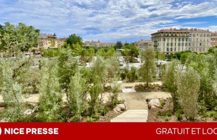 In Nice, the greenery of the city center is gaining hectares… and the support of residents, according to a new survey