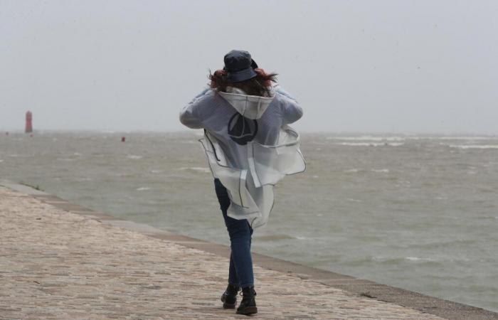 the Pyrénées-Atlantiques on orange alert for violent winds this Sunday