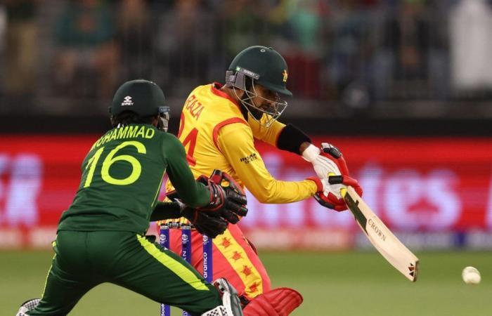 TV Channels And Live Streaming For Pakistan Tour Of Zimbabwe 2024