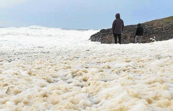 Gale in Brittany: gusts over 120 km/h and many walkers on the coast [En images]