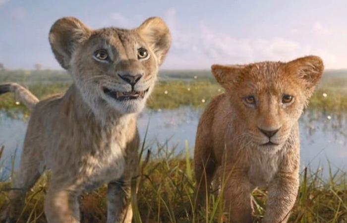 Mufasa The Lion King: our impressions after seeing 30 minutes of the next Disney