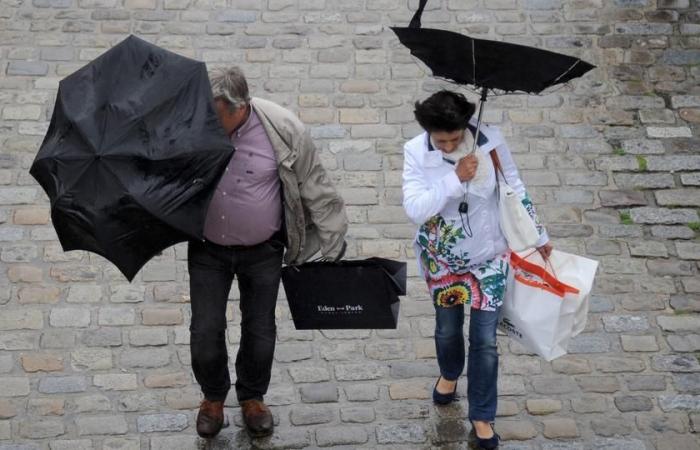 torrential rains, violent winds… A new disturbance will hit France this Sunday