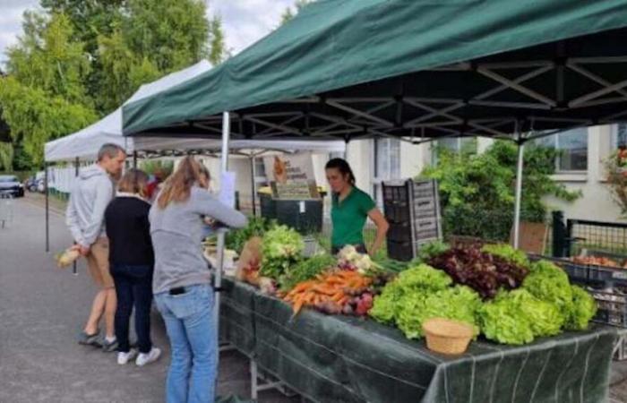 In Aÿ-Champagne, the “Les champs gourmands” festival puts eating well at the center of the plate