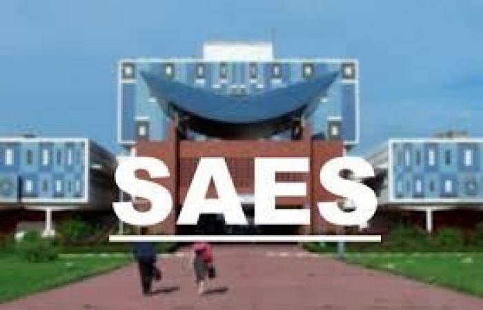 the SAES denounces the university situation