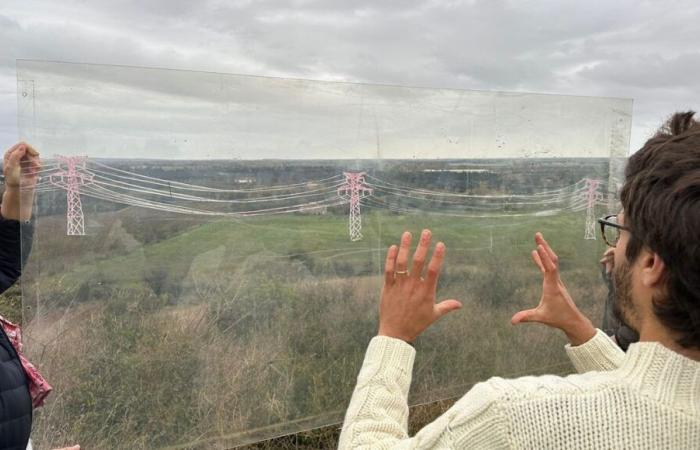 “Bird counting” operation along the route of the future THT line which is to cross the south of Gard