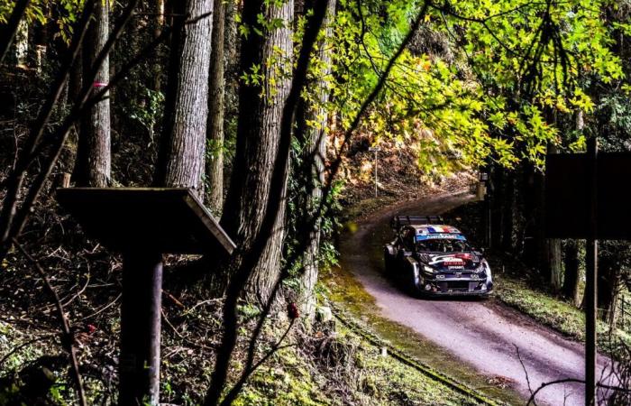 Classification SS21 Rally Japan 2024