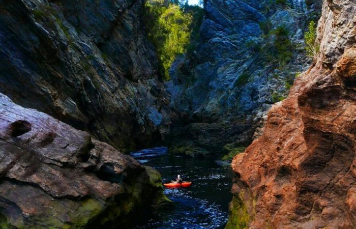 Australia: a kayaker whose leg is amputated in Tasmania