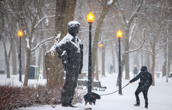 Light Survey | Proud of Quebec? Oh yes!