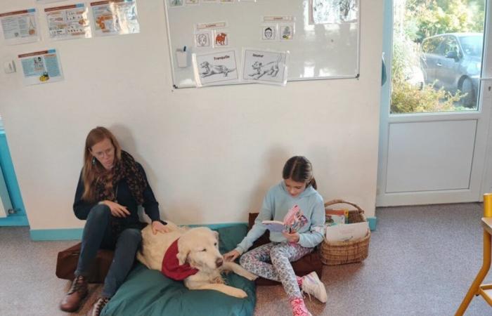 These students from Mayenne learn to read in the presence of a dog