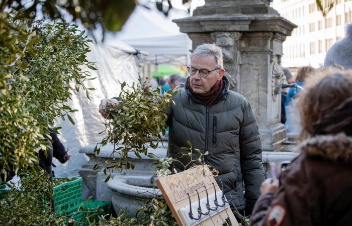 Zibelemärit in Bern: 33,655 kilos of onions were on offer