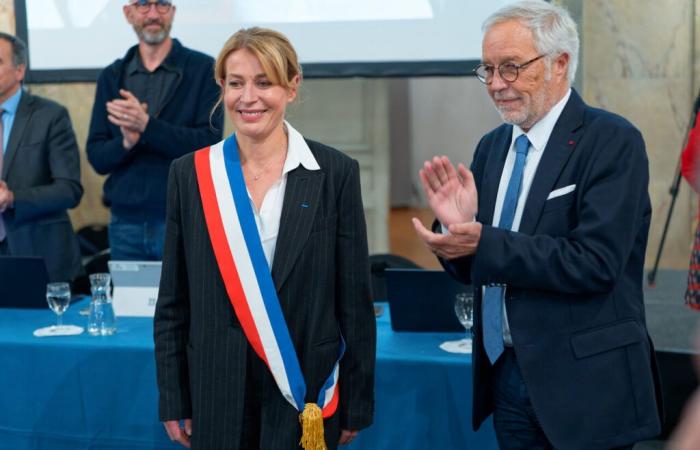 Who is Nathalie Koenders who succeeds François Rebsamen as mayor of Dijon?