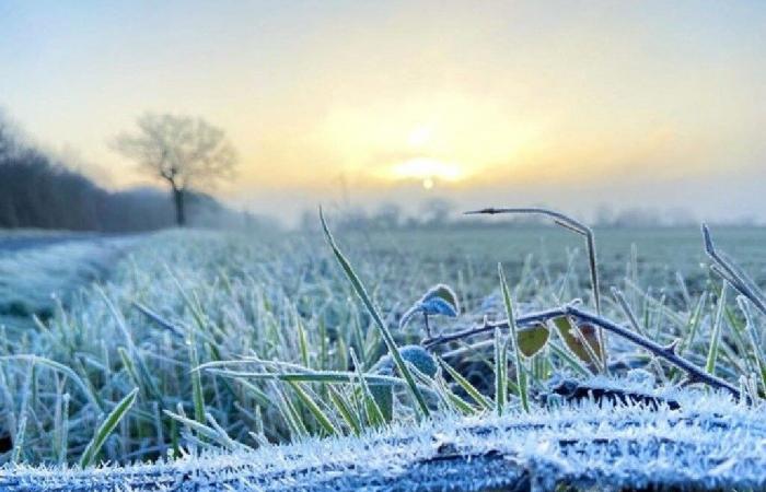 A possible return of the cold this very changeable week in the Centre-Val de Loire