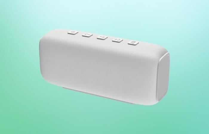 Lidl does as it pleases by offering this Bluetooth speaker at crazy prices