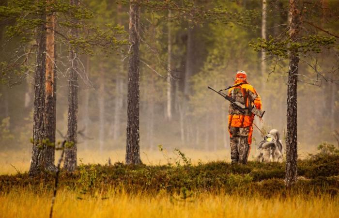 In Drôme, a hunter found dead during a hunt