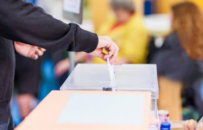 It will be necessary to vote again in a commune in Hainaut: the Local Elections Council has decided to cancel a result