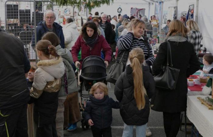 PHOTOS. Illuminated tractors attract crowds to this Calvados village