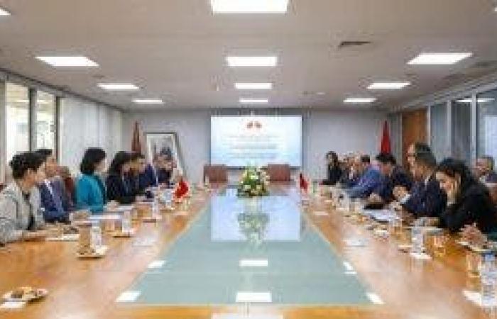 A Moroccan-Vietnamese working session to support economic partnerships (photos)