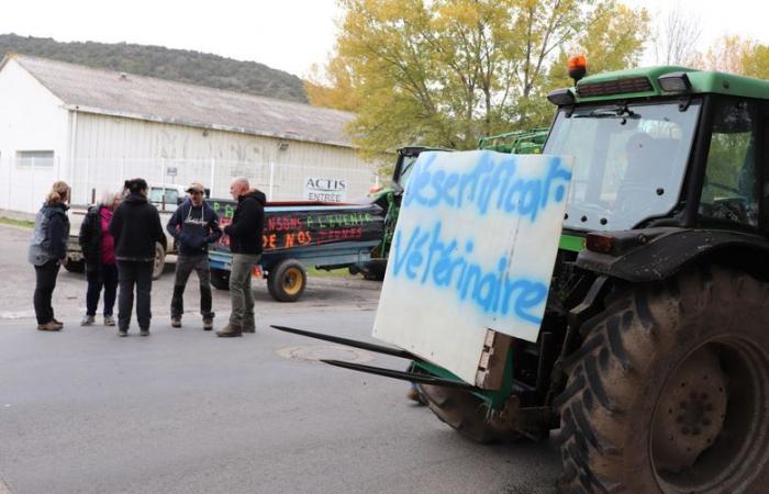 “The arrival of meat from South America will inevitably have an impact on prices and sales prices”: Aude breeders are mobilizing against the EU/Mercosur agreement