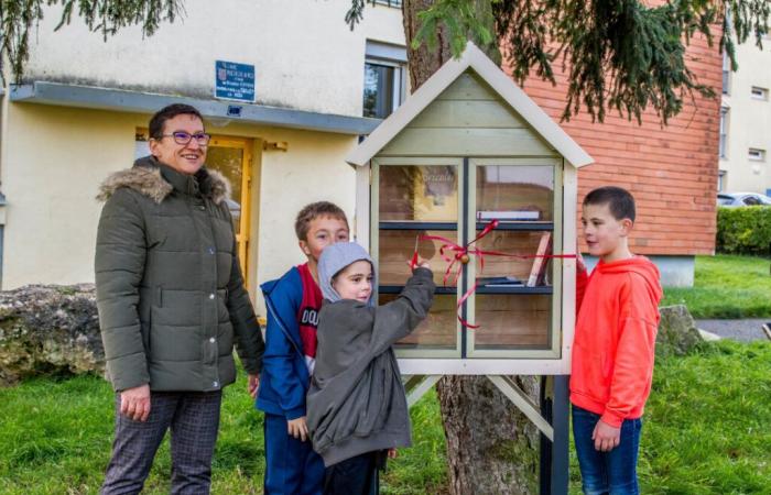 In Mortagne-au-Perche, the Les Roches district welcomes its first book box