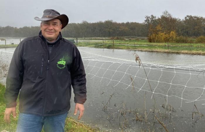 an experiment in breeding freshwater shrimp in Brenne