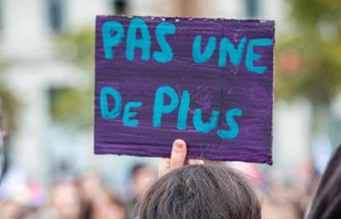 France: how is mutual aid against violence against women organized?