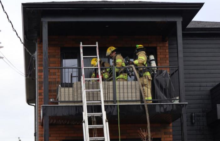 Cigarette butts involved in a fire that occurred this Sunday