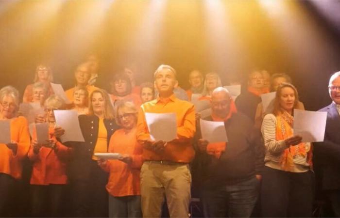 In video and song, these elected officials from Yvelines take action against domestic violence