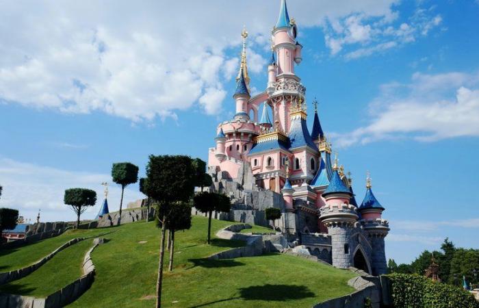 End of the single price and up to €175 for entry for the day, priority pass, paid parade… Disneyland’s new pricing policy provokes protests from fans