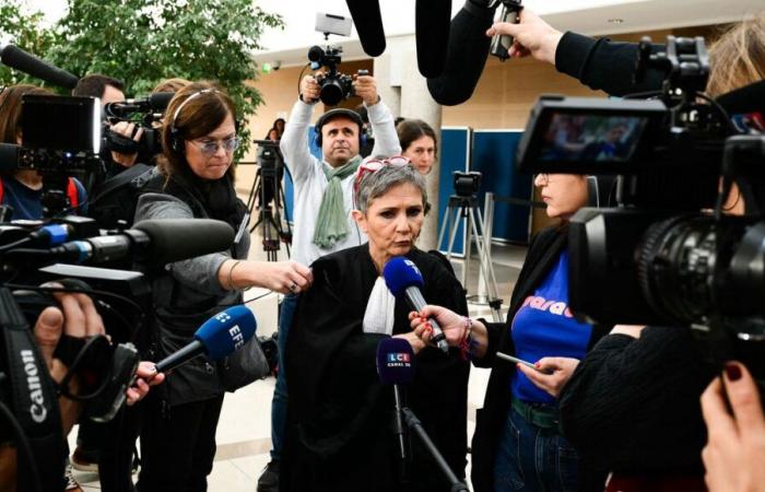 20 years of imprisonment required against Dominique Pelicot: “both a lot and too little”