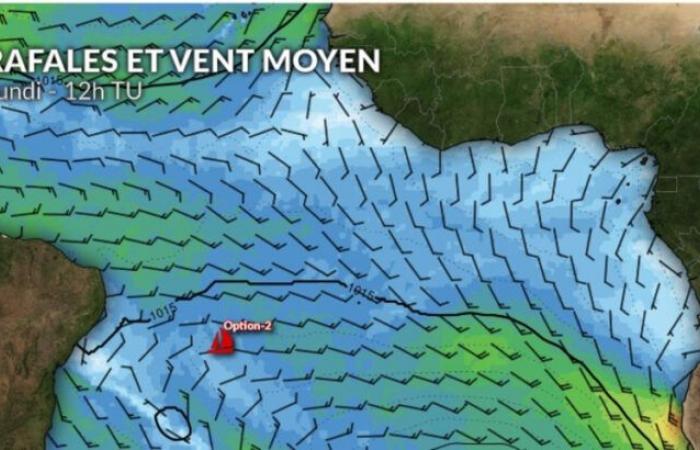 Weather Vendée Globe: the leaders consolidate their lead and head full speed towards Bonne Espérance