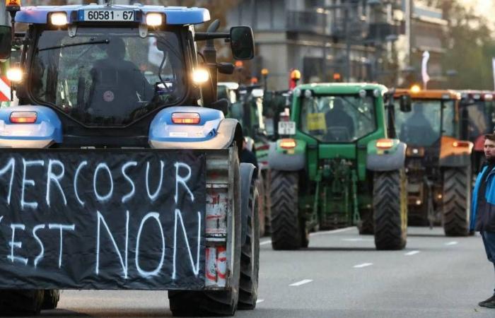 Opposition from France, support from Germany, fears of farmers… understand everything about the Mercosur treaty