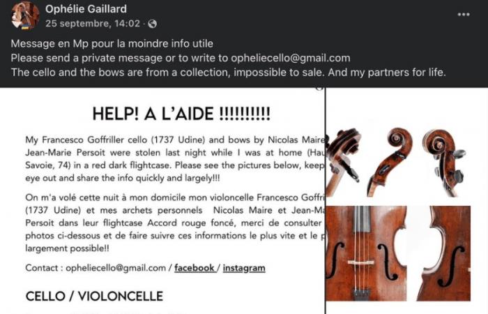 Haute-Savoie: the 1 million euro cello found