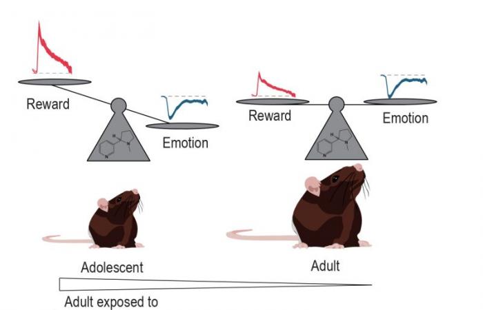 a brain imbalance that predisposes to addiction ????