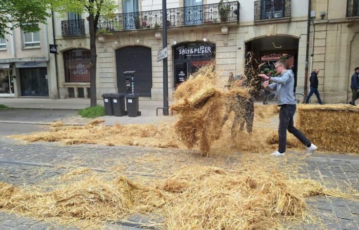 “Enough is enough”: Côte-d’Or farmers launch a new mobilization