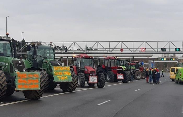 Vierzon: farmers invite themselves to the A20 motorway toll booth