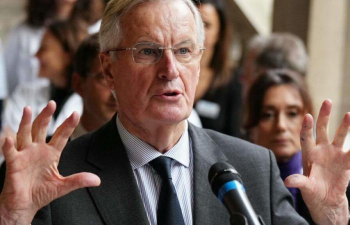 Women's centers, hospital complaints, pharmacy kits… Barnier's announcements on sexual violence