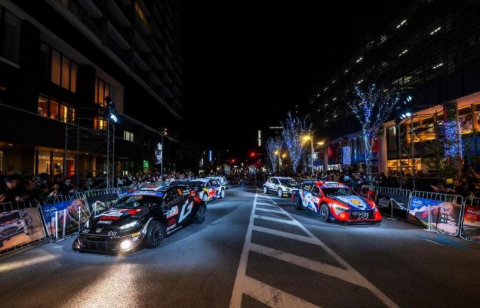 Transfers, new drivers… What will the WRC field look like in 2025?