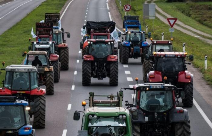 tractors from Haute-Saône to the European Parliament in Strasbourg to have “explanations”