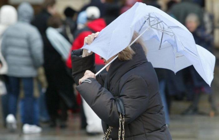 Strong winds: nine central-eastern departments placed on orange alert, SNCF traffic disrupted