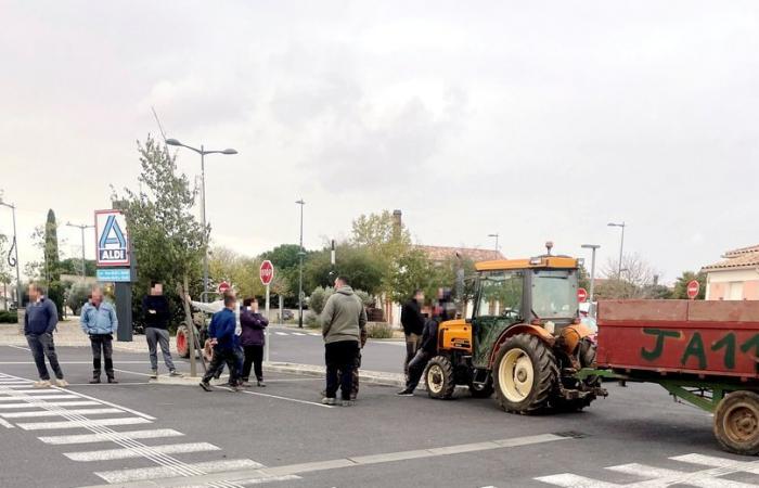 Angry farmers: in Aude, winegrowers attack a supermarket having “too much” promoted Spanish wines