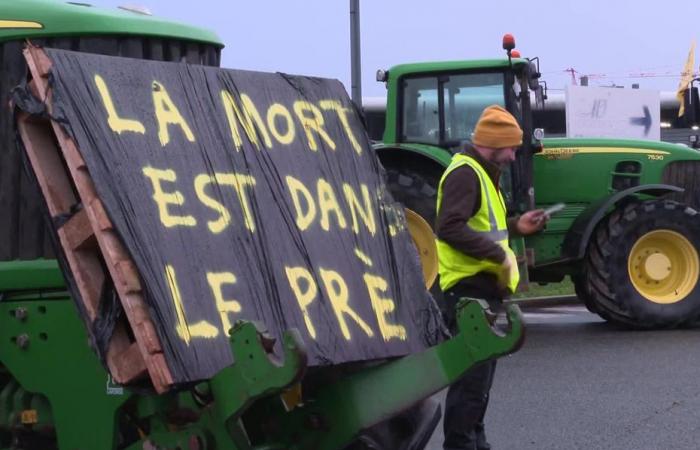 How to appease the anger of farmers? We debate it on France 3 Franche-Comté in Dimanche en politique