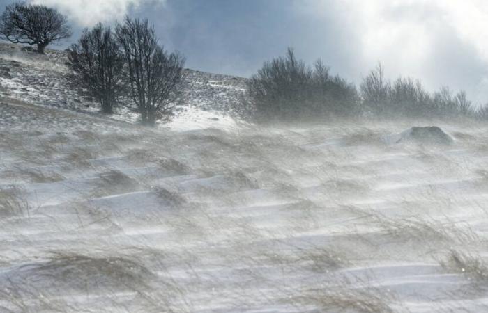 nine French departments on orange “violent wind” vigilance, several SNCF lines cut – Libération