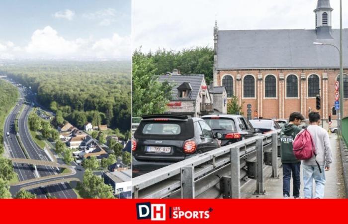 Major construction site about to begin a stone’s throw from the Léonard crossroads: two new bridges will be built above the E411 at Jezus-Eik