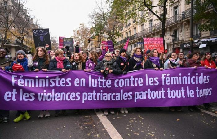 93 women victims in France in 2023, according to an updated report