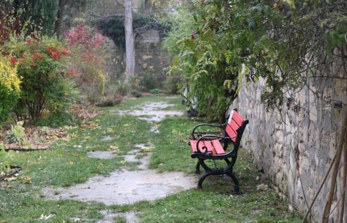 Against violence against women, a red bench is created in this Oise park