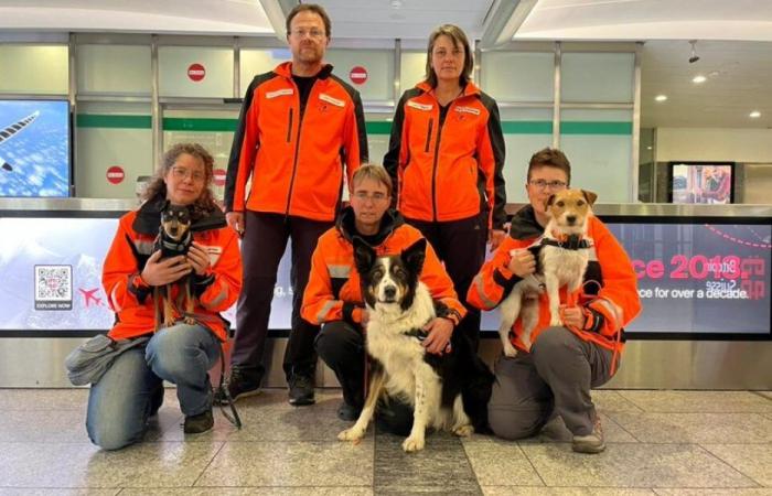 Floods: search dog team returns from Spain